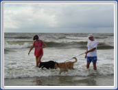 Enjoying the Beach